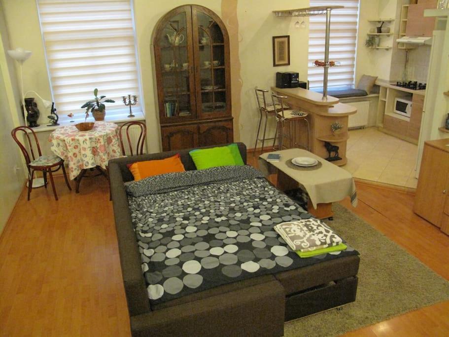 Private Entrance-2 Rooms-Old Town- Free Parking Vilnius Exterior foto